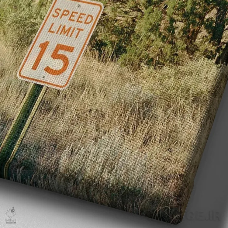 تابلو مزرعه اشباح ۱۱ اثر بثانی یانگ - نمای نزدیک بافت بوم