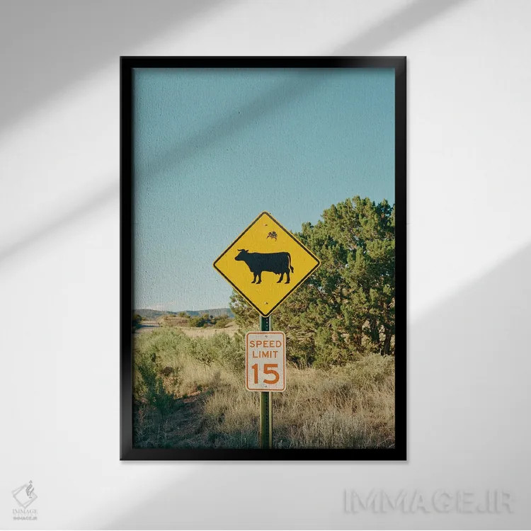 تابلو مزرعه اشباح ۱۱ اثر بثانی یانگ - نمای قابدار مشکی