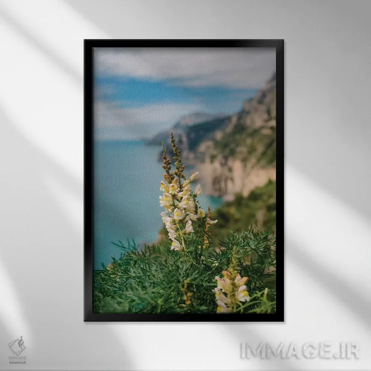 تابلو شکوفههای ساحل آمالفی ۱ اثر بثانی یانگ - نمای قابدار مشکی