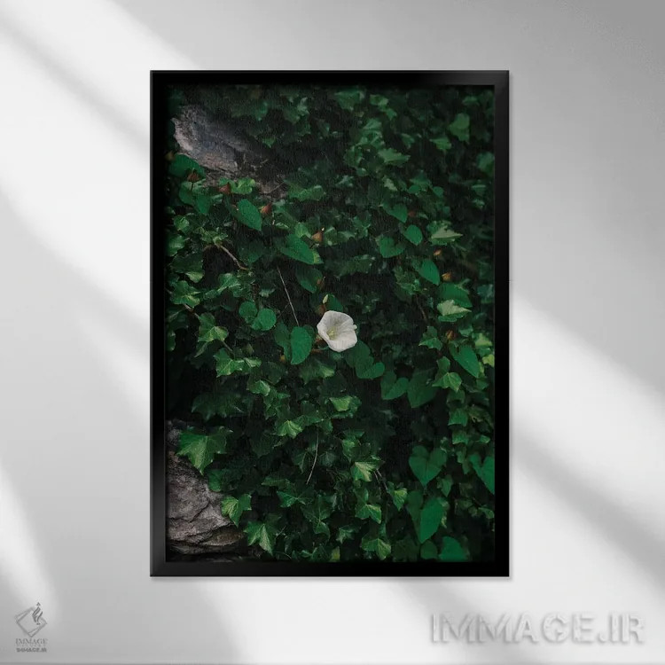 تابلو شکوفههای ساحل آمالفی ۴ اثر بثانی یانگ - نمای قابدار مشکی