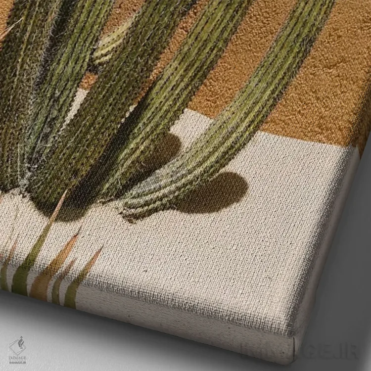 تابلو کاکتوس کابو شماره دو اثر بثانی یانگ - نمای نزدیک بافت بوم