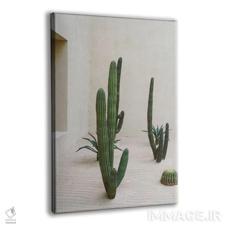 تابلو کاکتوس کابو شماره شش اثر بثانی یانگ - نمای پرسپکتیو محصول