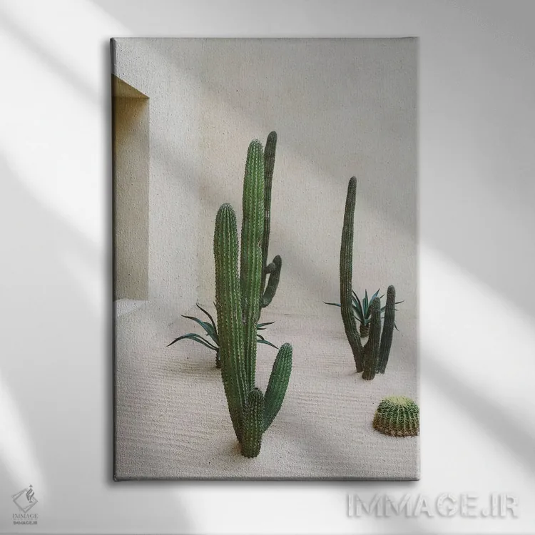 تابلو کاکتوس کابو شماره شش اثر بثانی یانگ - نمای روبهرو روی دیوار