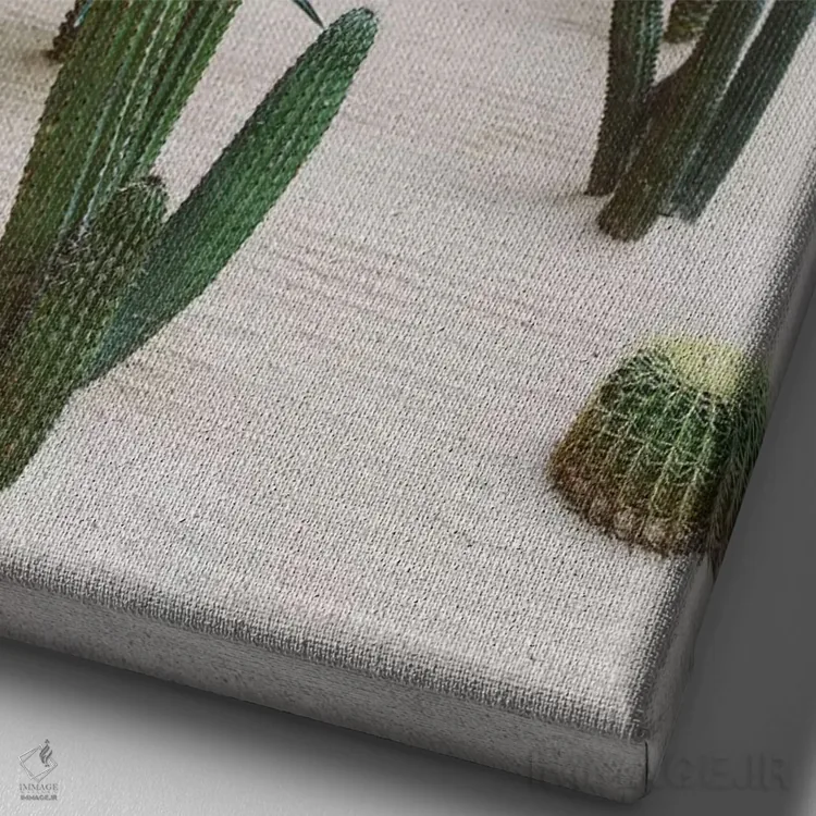 تابلو کاکتوس کابو شماره شش اثر بثانی یانگ - نمای نزدیک بافت بوم