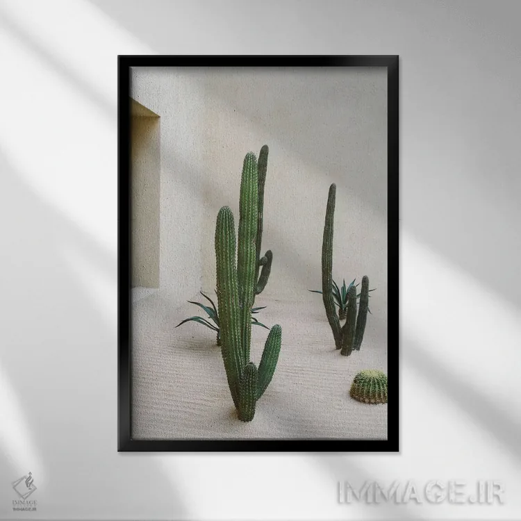 تابلو کاکتوس کابو شماره شش اثر بثانی یانگ - نمای قابدار مشکی