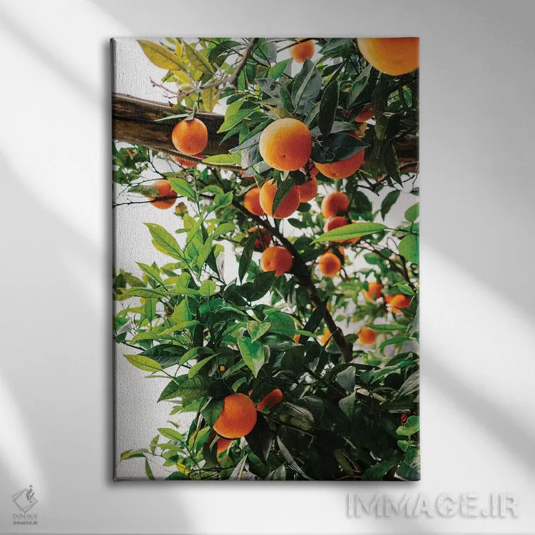 تابلو پرتقالهای ساحل آمالفی شماره دو اثر بثانی یانگ - نمای روبهرو روی دیوار