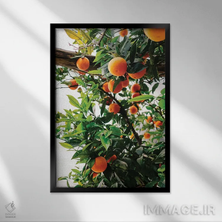 تابلو پرتقالهای ساحل آمالفی شماره دو اثر بثانی یانگ - نمای قابدار مشکی