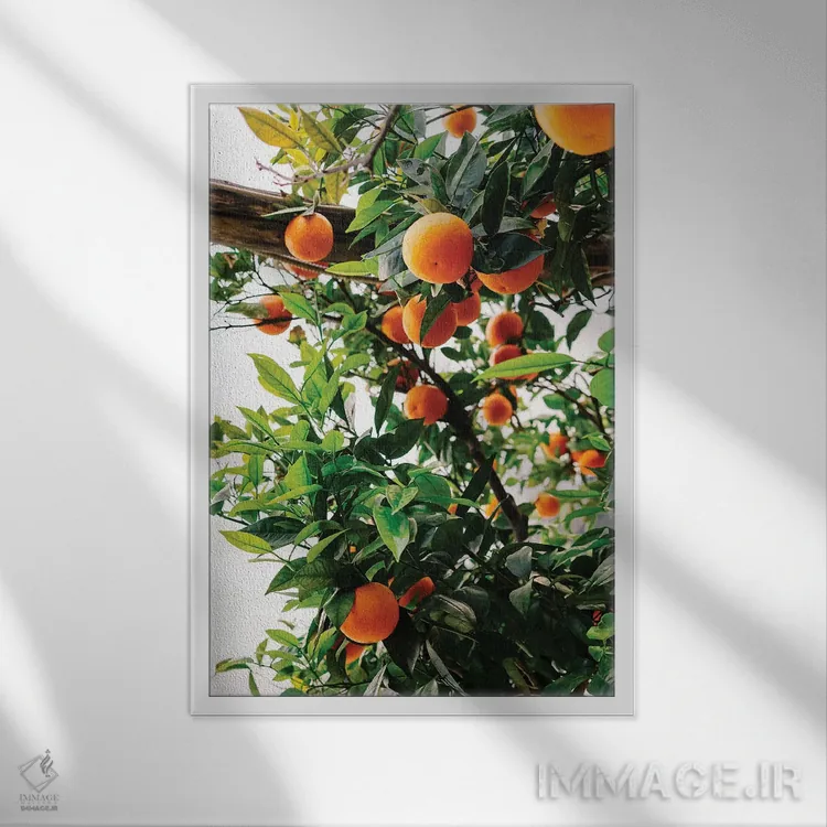 تابلو پرتقالهای ساحل آمالفی شماره دو اثر بثانی یانگ - نمای قابدار سفید