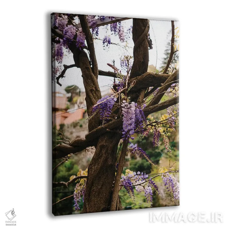 تابلو شکوفههای پوزیتانو شماره شش اثر بثانی یانگ - نمای پرسپکتیو محصول