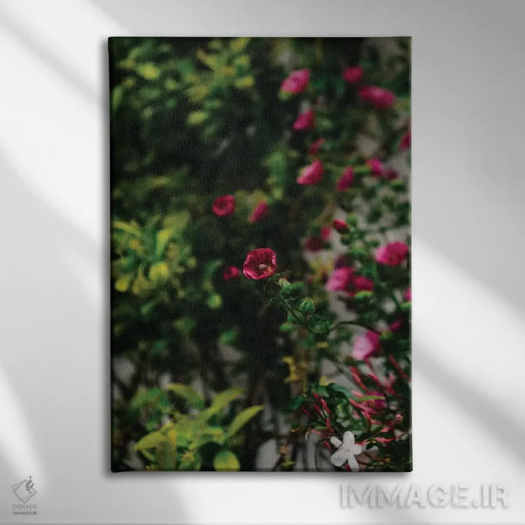 تابلو شکوفههای پوزیتانو شماره چهار اثر بثانی یانگ - نمای روبهرو روی دیوار