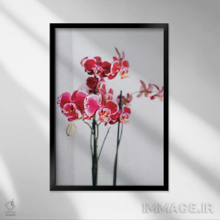 تابلو شکوفههای پوزیتانو شماره دو اثر بثانی یانگ - نمای قابدار مشکی