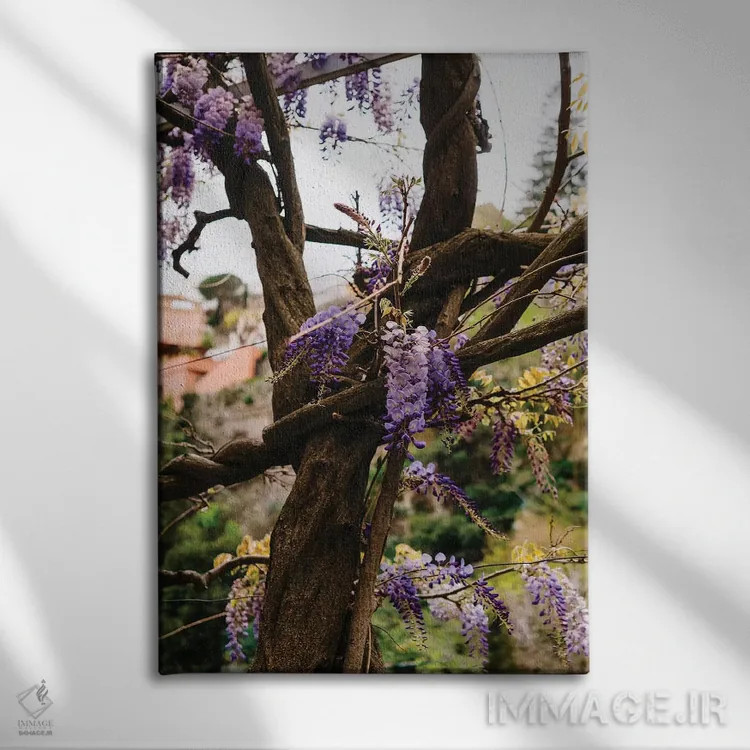 تابلو شکوفههای پوزیتانو شماره شش اثر بثانی یانگ - نمای روبهرو روی دیوار