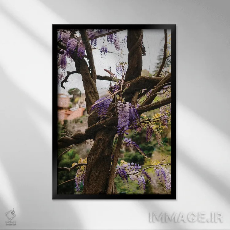 تابلو شکوفههای پوزیتانو شماره شش اثر بثانی یانگ - نمای قابدار مشکی