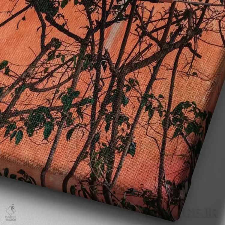 تابلو شکوفههای پوزیتانو شماره یازده اثر بثانی یانگ - نمای نزدیک بافت بوم