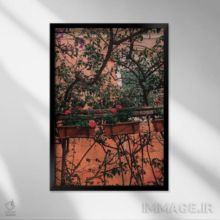 تابلو شکوفههای پوزیتانو شماره یازده اثر بثانی یانگ - نمای قابدار مشکی