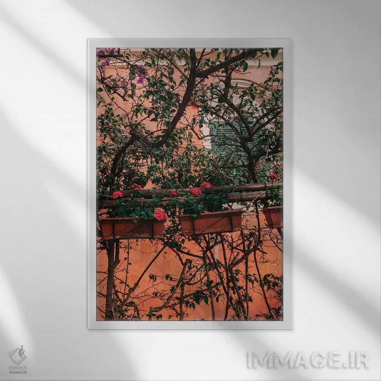 تابلو شکوفههای پوزیتانو شماره یازده اثر بثانی یانگ - نمای قابدار سفید