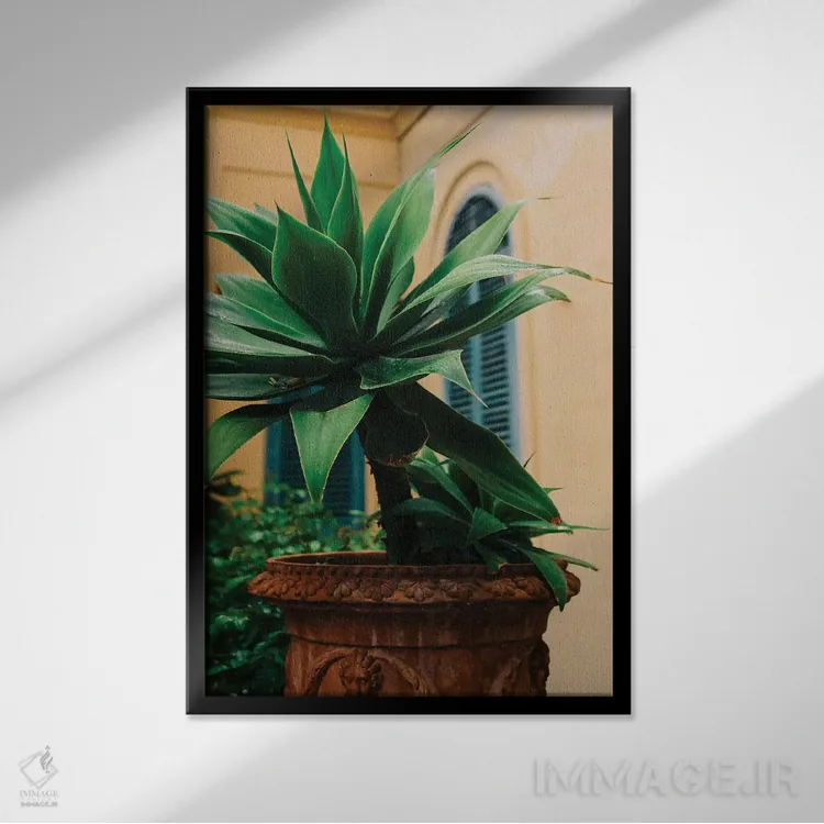 تابلو پوزیتانوی بارانی نُه اثر بثانی یانگ - نمای قابدار مشکی