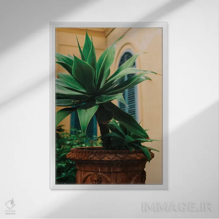 تابلو پوزیتانوی بارانی نُه اثر بثانی یانگ - نمای قابدار سفید