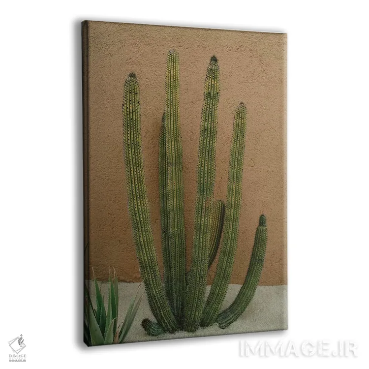 تابلو کاکتوس کبو یازده اثر بثانی یانگ - نمای پرسپکتیو محصول