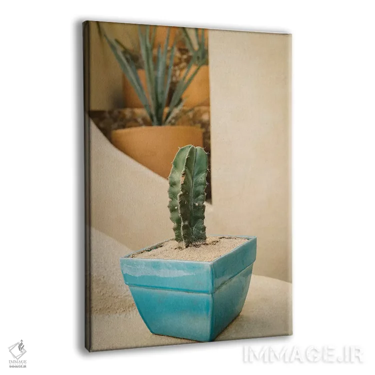 تابلو کاکتوس کبو پنج اثر بثانی یانگ - نمای پرسپکتیو محصول