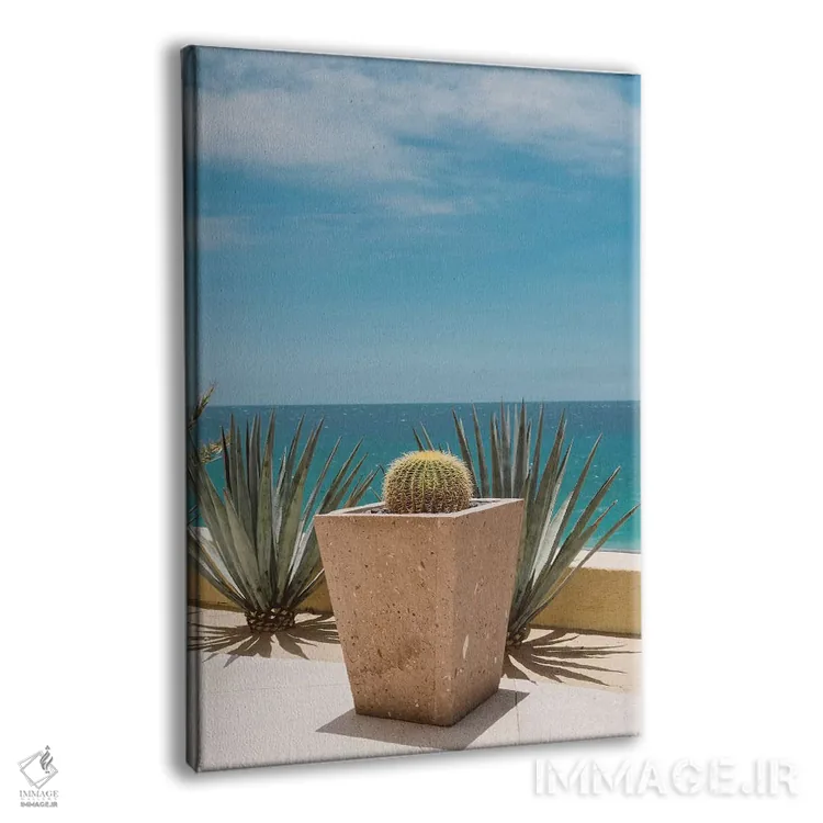 تابلو کاکتوس کبو اثر بثانی یانگ - نمای پرسپکتیو محصول