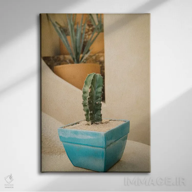 تابلو کاکتوس کبو پنج اثر بثانی یانگ - نمای روبهرو روی دیوار