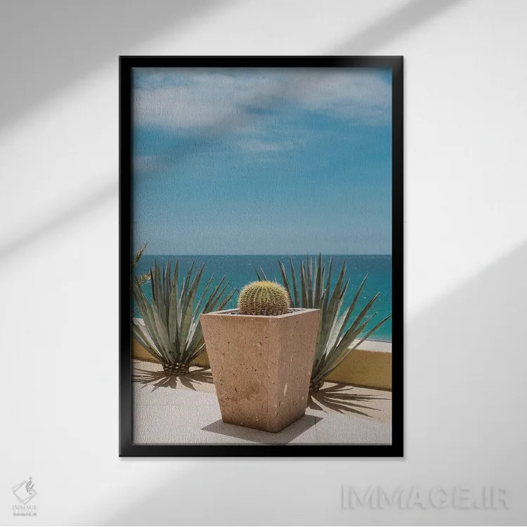 تابلو کاکتوس کبو اثر بثانی یانگ - نمای قابدار مشکی