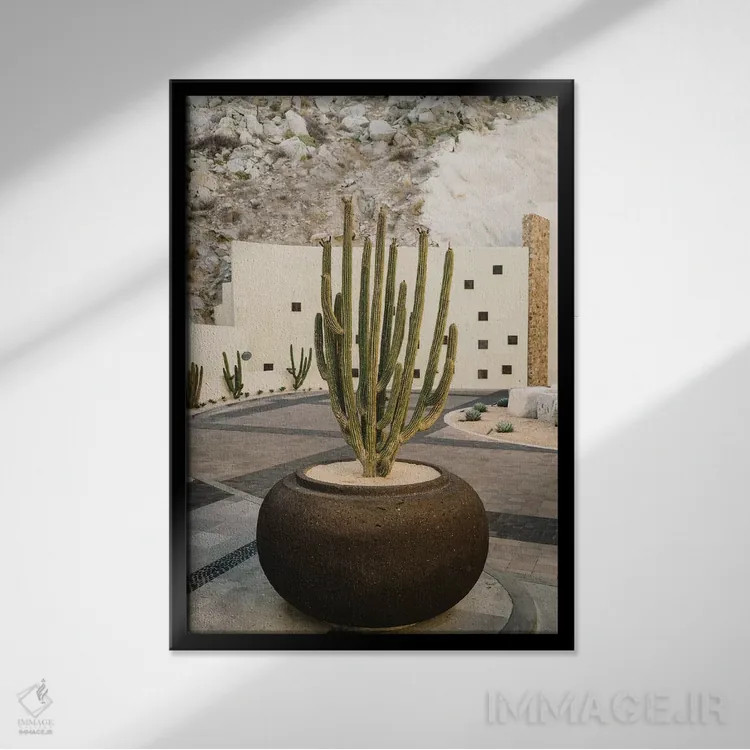 تابلو کاکتوس کبو هشت اثر بثانی یانگ - نمای قابدار مشکی