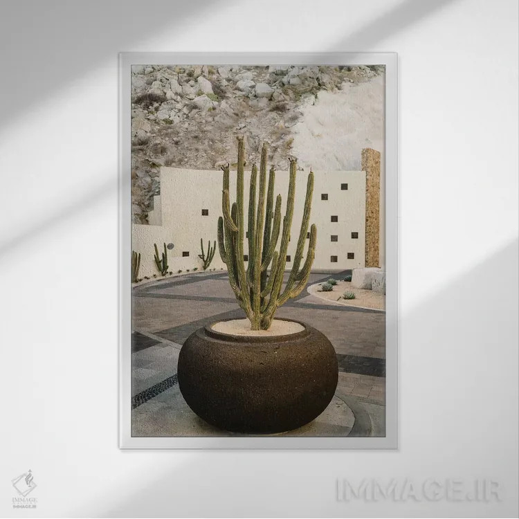 تابلو کاکتوس کبو هشت اثر بثانی یانگ - نمای قابدار سفید