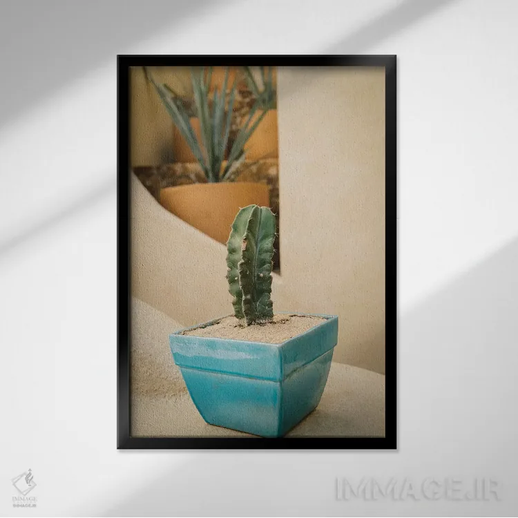 تابلو کاکتوس کبو پنج اثر بثانی یانگ - نمای قابدار مشکی