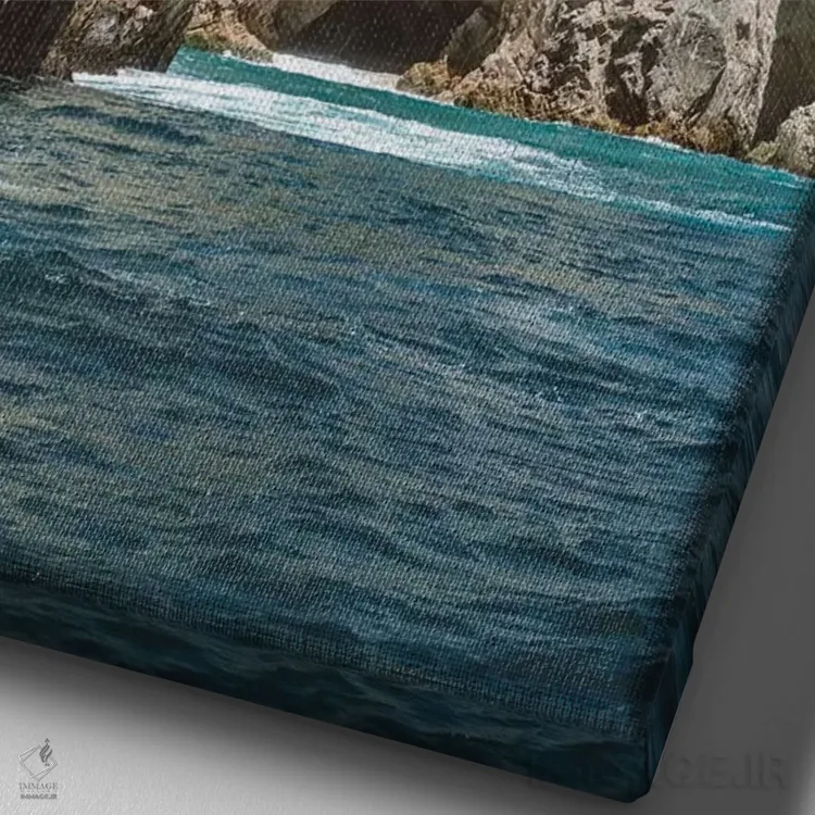 تابلو غار کبو دو اثر بثانی یانگ - نمای نزدیک بافت بوم