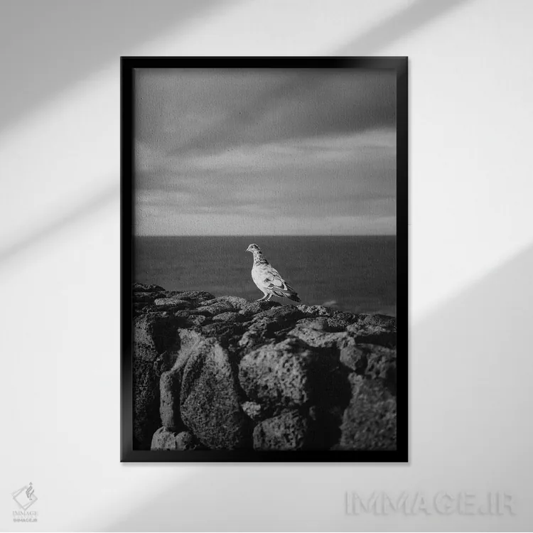 تابلو پرندهٔ هاوایی اثر بثانی یانگ - نمای قابدار مشکی