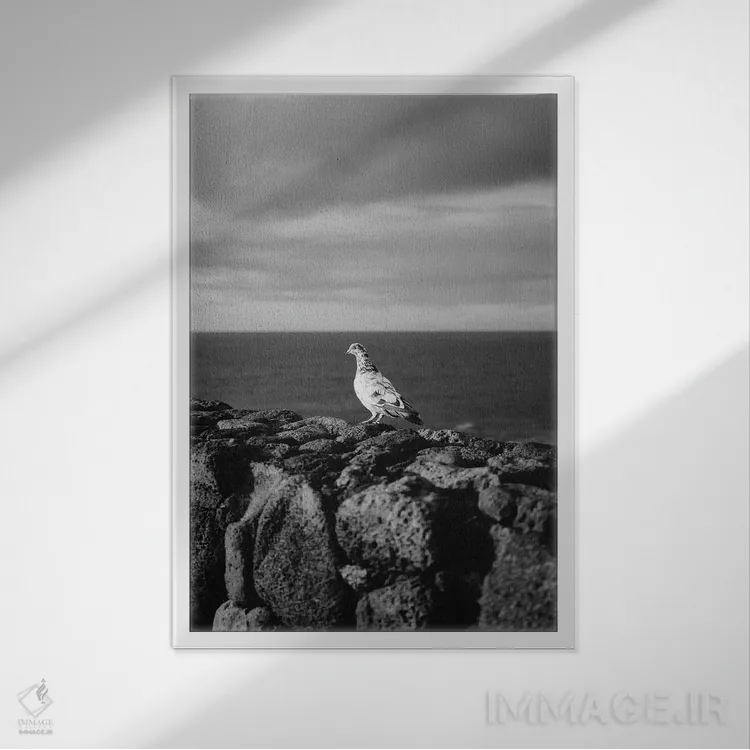 تابلو پرندهٔ هاوایی اثر بثانی یانگ - نمای قابدار سفید