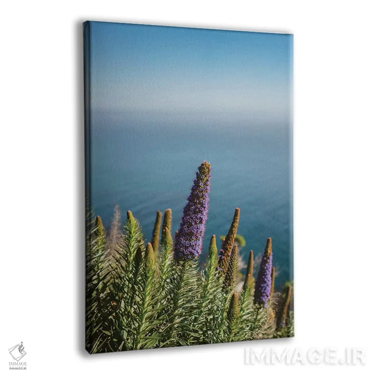 تابلو شکوفههای بیگ سور دو اثر بثانی یانگ - نمای پرسپکتیو محصول