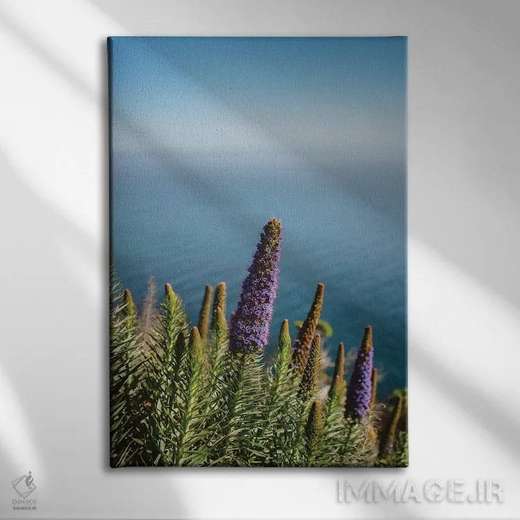 تابلو شکوفههای بیگ سور دو اثر بثانی یانگ - نمای روبهرو روی دیوار