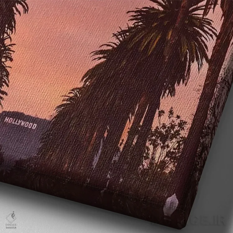 تابلو هالیوود اثر بثانی یانگ - نمای نزدیک بافت بوم