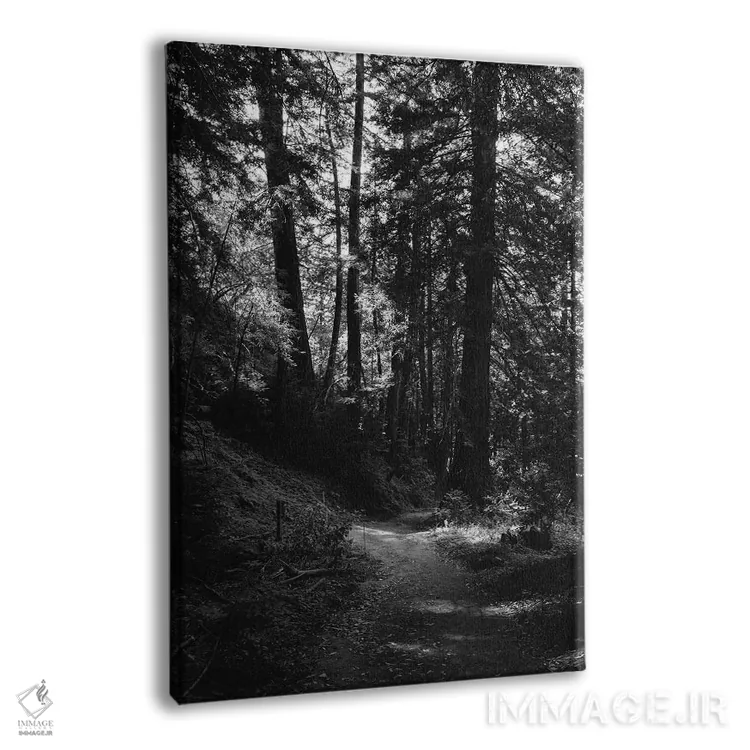 تابلو پیادهروی در بیگ سور اثر بثانی یانگ - نمای پرسپکتیو محصول