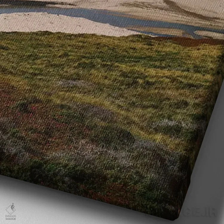 تابلو بیگ سور پنج اثر بثانی یانگ - نمای نزدیک بافت بوم