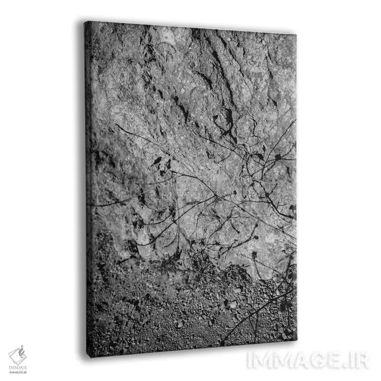 تابلو گلهای وحشی بیگ سور پنج اثر بثانی یانگ - نمای پرسپکتیو محصول