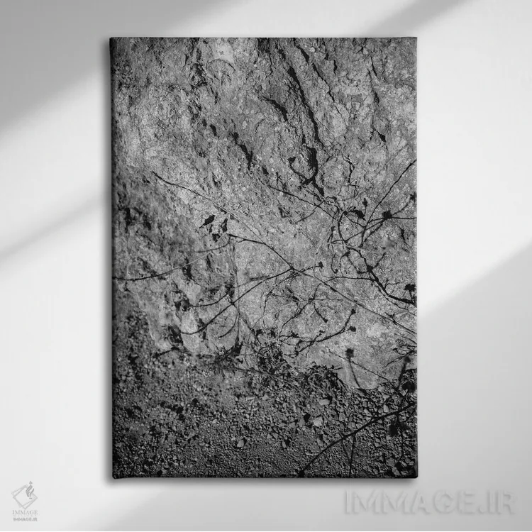 تابلو گلهای وحشی بیگ سور پنج اثر بثانی یانگ - نمای روبهرو روی دیوار