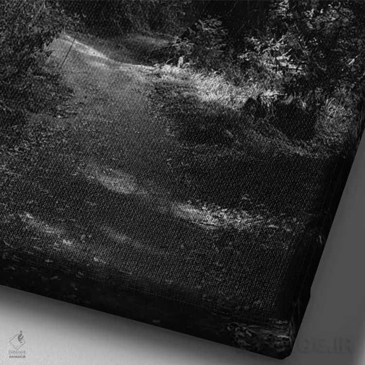 تابلو پیادهروی در بیگ سور اثر بثانی یانگ - نمای نزدیک بافت بوم