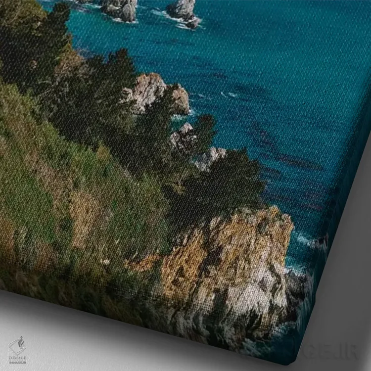 تابلو بیگ سور دو اثر بثانی یانگ - نمای نزدیک بافت بوم