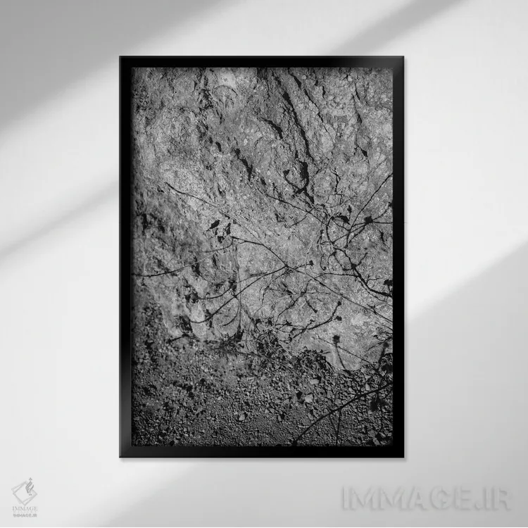 تابلو گلهای وحشی بیگ سور پنج اثر بثانی یانگ - نمای قابدار مشکی