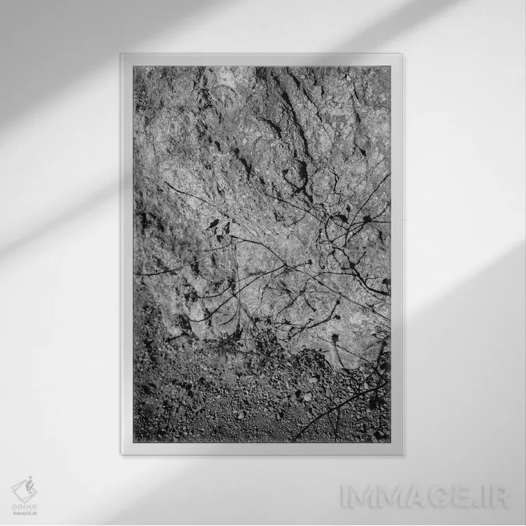 تابلو گلهای وحشی بیگ سور پنج اثر بثانی یانگ - نمای قابدار سفید