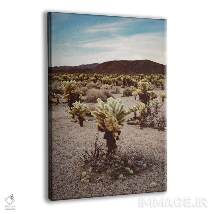 تابلو باغ کاکتوس چولا سه اثر بثانی یانگ - نمای پرسپکتیو محصول