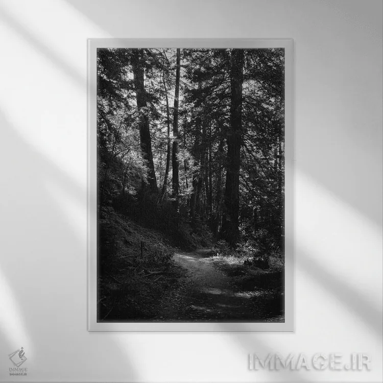 تابلو پیادهروی در بیگ سور اثر بثانی یانگ - نمای قابدار سفید