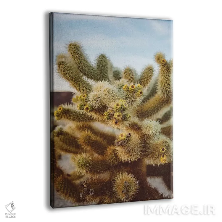 تابلو باغ کاکتوس چولا چهار اثر بثانی یانگ - نمای پرسپکتیو محصول