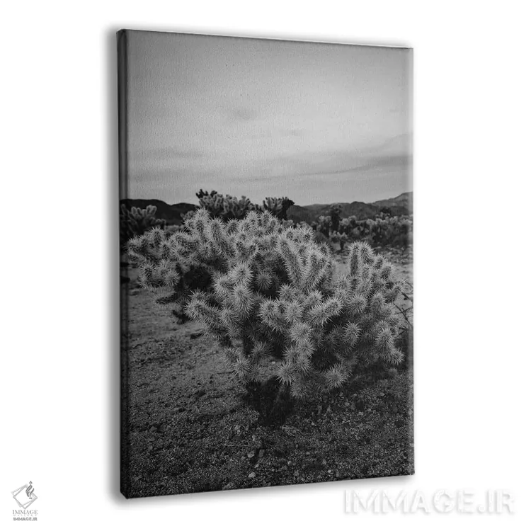 تابلو باغ کاکتوس چولا نُه اثر بثانی یانگ - نمای پرسپکتیو محصول