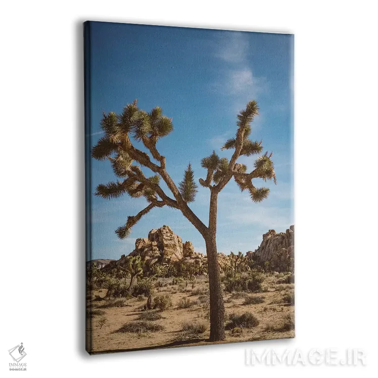 تابلو پارک ملی جاشوا تری دو اثر بثانی یانگ - نمای پرسپکتیو محصول