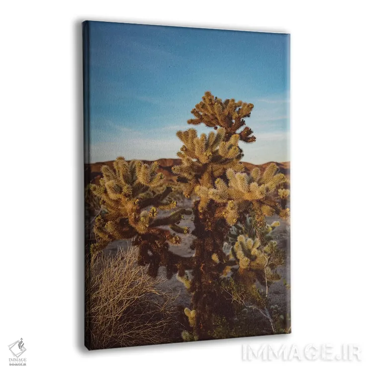 تابلو باغ کاکتوس چولا اثر بثانی یانگ - نمای پرسپکتیو محصول